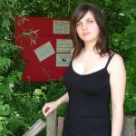 ���� ��������