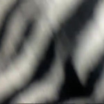 ����� ����