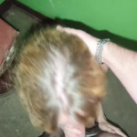 ���� � ��������