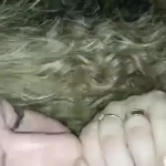 ������ �������