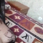 ������ � �������