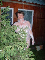 ����� ����� �������� ������������