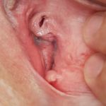 ���������� ����