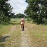 ������ ����������