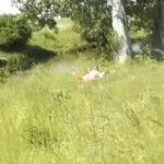 �������� �������� �� ������