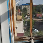 ���� ���� �����