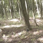 �� ����� ������ ���