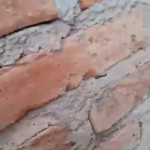 ������ ����