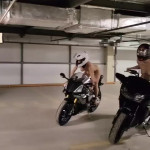 ��������� ������