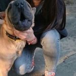 ����� ��������� �����