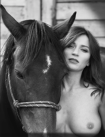 � ���������