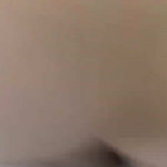 ���-�� � ��������