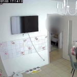 ���� �������