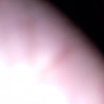 ������� ������������� � ����� ���� � ����������