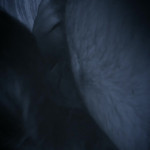 �������� ������ ������� ������ ��������.