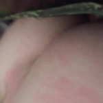 �������� ���� ����� ��������