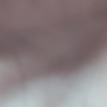 ���� ����� ����� ������ ��� ����� �����������