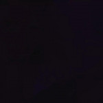 ���� ���� ������ �����