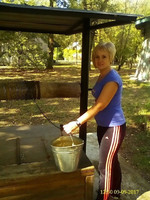 �������� �� �������