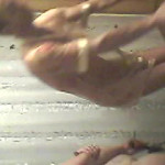 ������� �� ��������