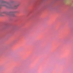 Sexwife lilu � � ������� �����