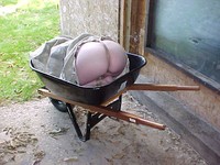 ������ ��������� � �����