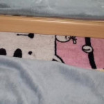 ������ � ���������