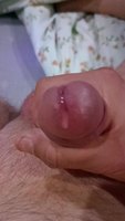 �������� �����������