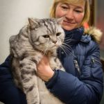 ����� �� ������ ����