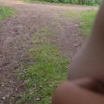 ���������� � ����