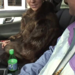 ���� � ����������� ������