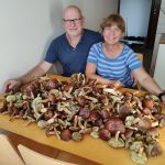 ������ �� ������