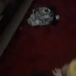 �� ������ �������