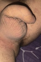 ���� ����� �����