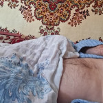 ���� ����������
