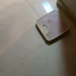 ����� �����