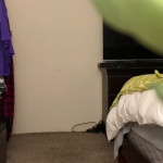 ������� �����������