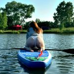 � �������� ������� �� ��������