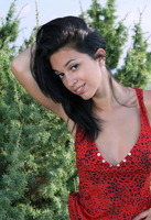 �� ������...