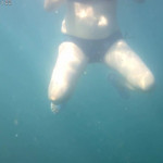 ��� ���� �������� ������ ��� �����.