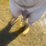 ������� �� �����