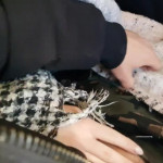 ������� � ��������