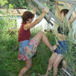 ���� ���� ��������.