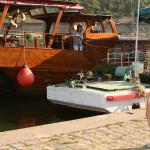 �� ���������.