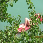 ��������� �� �������