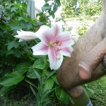 ���� �������