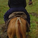 ��� ������� ����