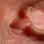 Ÿ ������� ��������