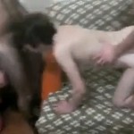 �������� ����������