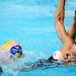 ������������� ���������